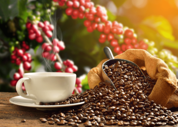 The 10 Best Coffee Beans In the World 