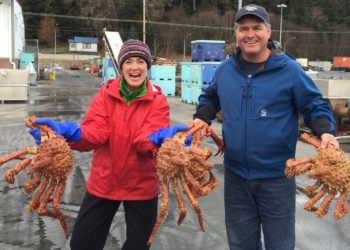crab for sale