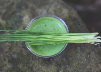 7 Ways barley grass can prove to be a superfood