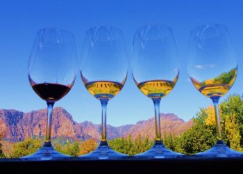 Reasons To Check Out South African Wine
