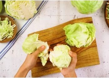 Could You Freeze Cabbage it is possible or not?