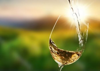 Check These Best Class Wine Qualities