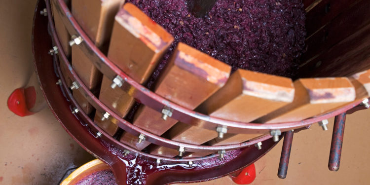 Basic steps involved  in making Wine