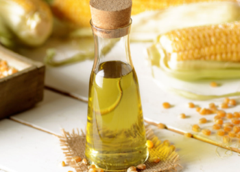 What are the Best Methods to Dispose of Used Oil?