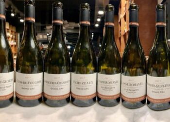 Domaine arnoux lachaux review and tasting notes