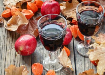 Embrace the Season: Natural Wine Types to Enjoy This Autumn