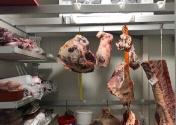How to Optimize Temperature and Humidity Control in a Meat Cold Room