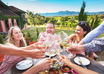 Top 20 Tips on Cellars Wine Tours to Enjoy Tastings in Picturesque Settings