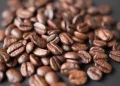 Bulk Coffee Beans Without Compromising on Taste or Consistency