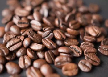 Bulk Coffee Beans Without Compromising on Taste or Consistency