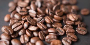 Bulk Coffee Beans Without Compromising on Taste or Consistency